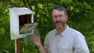 Homes for Nesting Bluebirds [upl. by Dud235]