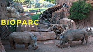 BIOPARC VALENCIA 4K [upl. by Naj]