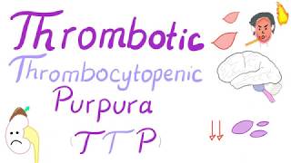 Thrombotic Thrombocytopenic Purpura TTP [upl. by Ennaeiluj]