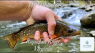 Fly Fishing the Rapidan River Shenandoah National Park [upl. by Kinzer]