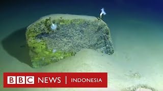 Ekspedisi Palung Mariana Ada sampah plastik di kedalaman 11 km bawah laut  BBC News Indonesia [upl. by Kirt]