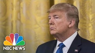 Live President Donald Trump Holds Press Conference  NBC News [upl. by Schoenberg]