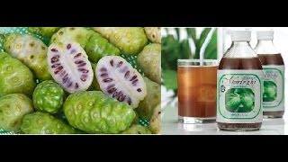 DXN Noni health benefits [upl. by Abih]