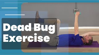 Dead Bug Core Exercise  3 Progressions [upl. by Demeyer]