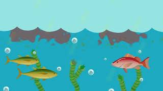 What is eutrophication [upl. by Alenson451]