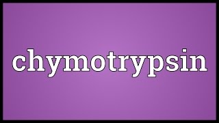 Chymotrypsin Meaning [upl. by Sternberg]