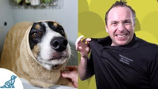 Simple Hacks To Bath Your Dog  Professional Dog Training Tips [upl. by Neumann]