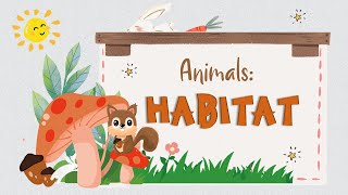 G1 Science Animals Habitat [upl. by Waite]