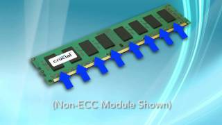 Whats the Difference Between ECC Memory and NonECC Memory [upl. by Hakeber660]