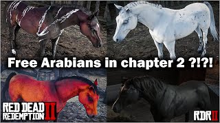 Four free Arabian Horse in chapter 2 in Red Dead Redemption 2 in 2021  Black Arabian RDR2 [upl. by Dhaf]