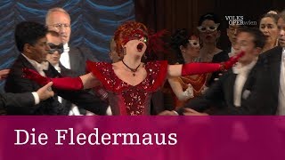 Die Fledermaus – Kurzeinführung  Volksoper Wien [upl. by Jochebed319]