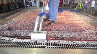 CLEANING SILK ORIENTAL RUG  PetPeePee® [upl. by Holsworth]