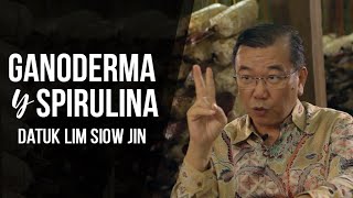 DXN Ganoderma y Spirulina Explicado por Datuk Lim Siow Jin [upl. by Naghem]