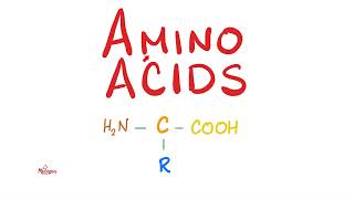 Amino Acids Part 2  Classification  Biochemistry MCAT [upl. by Liuqa]