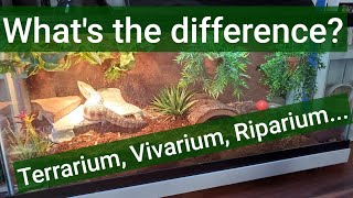 Differences between terrarium riparium vivarium etc [upl. by Jemimah]