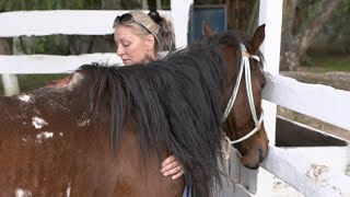 World Horse Welfare  90 Years Helping Horses [upl. by Werda894]