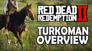 Turkoman Overview  Red Dead Redemption 2 Horses [upl. by Yhcir]