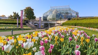 Welcome to Phipps Conservatory and Botanical Gardens [upl. by Elleral]