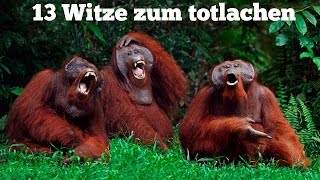 Die besten Witze zum TOTLACHEN [upl. by Boardman57]