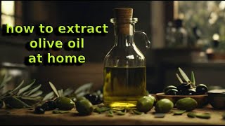 DIY How to Make Extra Virgin Olive Oil at Home  Using Household Equipment [upl. by Laup]