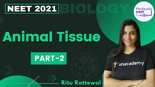 Animal Tissue  Part 2  NEET 2021  NEET Biology  Ritu Rattewal [upl. by Leirej]