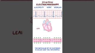 Clinical Cuts ECG Basics [upl. by Ahsinej]