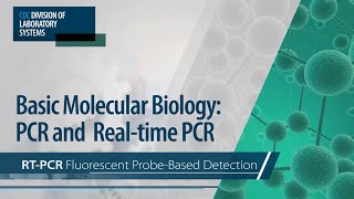 Basic Molecular Biology PCR and RealTime PCR – RTPCR Fluorescent ProbeBased Detection [upl. by Erimahs]