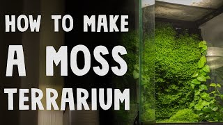 How to Make a Moss Terrarium [upl. by Yvon429]