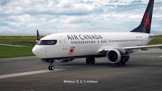 Air Canada  737 en vol [upl. by Benildis]