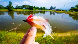 Fly Fishing a TROPHY BASS POND with BIG STREAMERS [upl. by Jase436]