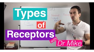 Types of Sensory Receptors [upl. by Arit]