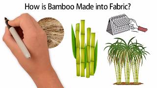 How is Bamboo Fabric Made  Bamboo Detective [upl. by Yzus]