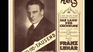 Franz Lehár  Melodie z operet  Pavla Břinková [upl. by Carrelli63]