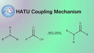 HATU DIPEA Peptide Coupling Mechanism  Organic Chemistry [upl. by Arimak261]