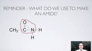 11 Ester and Amide Hydrolysis [upl. by Prichard]