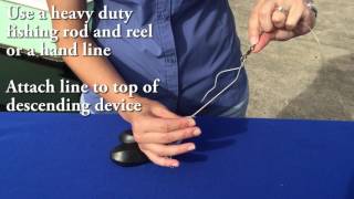 How to use a Shelton fish descender device [upl. by Zonnya]