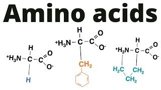 Classification of Amino acids memorize [upl. by Attenol]