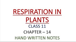 CLASS 11  BIOLOGY  CHAPTER 14  RESPIRATION IN PLANTS  HAND WRITTEN NOTES  PART  1 [upl. by Giglio]