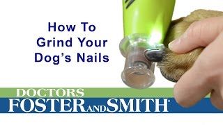 How to Grind Your Dogs Nails DrsFosterSmith [upl. by Ijnek849]