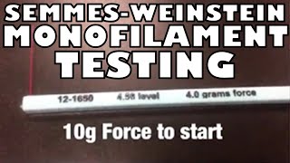 How to Perform the Semmes Weinstein Monofilament Test  Ohio University  Anatomy [upl. by Columba]