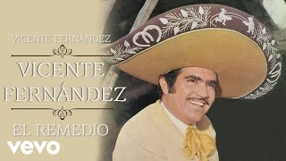 Vicente Fernández  El Remedio Cover Audio [upl. by Dierdre]