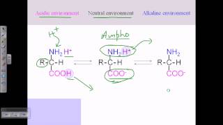 Amino acid structures part 2 [upl. by Brita]