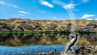 Bank Fishing for River Monsters  Columbia River Washington [upl. by Gaye]