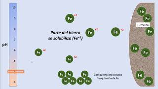 Cap103 Deficiencias nutricionales en las plantas [upl. by Brookes695]