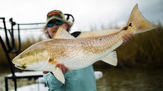 Fly Fishing for Monster Redfish in Louisiana [upl. by Hgielsa947]