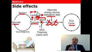 Metformin cme internalmedicine medical doctor محاضراتباطنة pharmaceutical [upl. by Amikehs359]