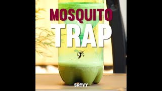 Easy Mosquito Trap  Outdoor DIY [upl. by Grove684]