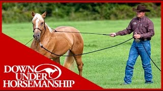 Clinton Anderson Training a Rescue Horse Part 1  Downunder Horsemanship [upl. by Morel822]