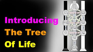 The Tree of Life A Beginners Guide Esoteric Saturdays [upl. by Kanal]