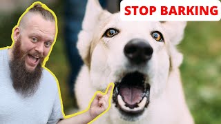 How to Train Your Dog to STOP BARKING at EVERYTHING [upl. by Gebler]